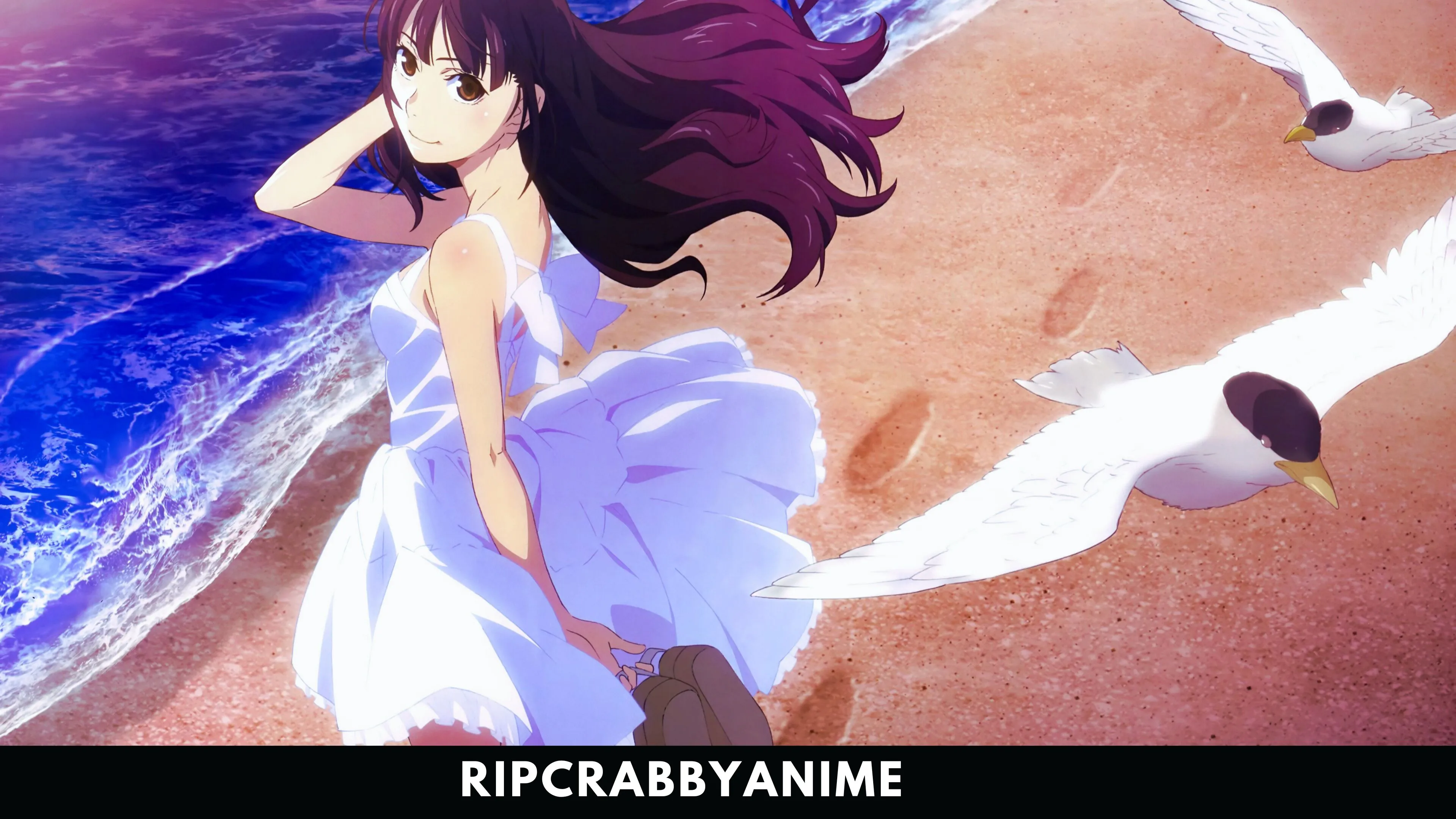 Fireworks (Uchiage Hanabi) 1080p Dual Audio