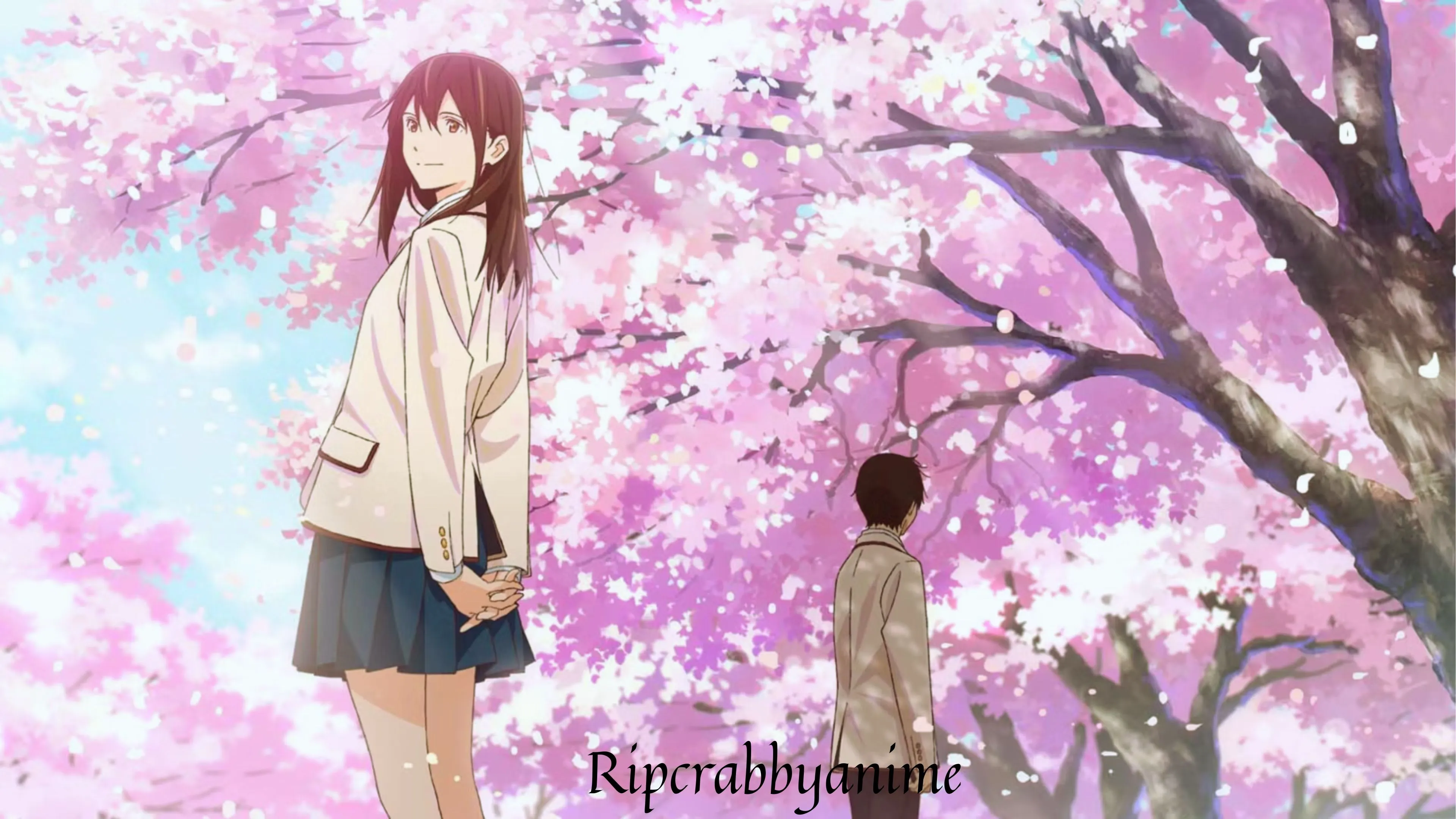 I Want to Eat Your Pancreas (Kimi no Suizou wo Tabetai) 1080p Dual Audio