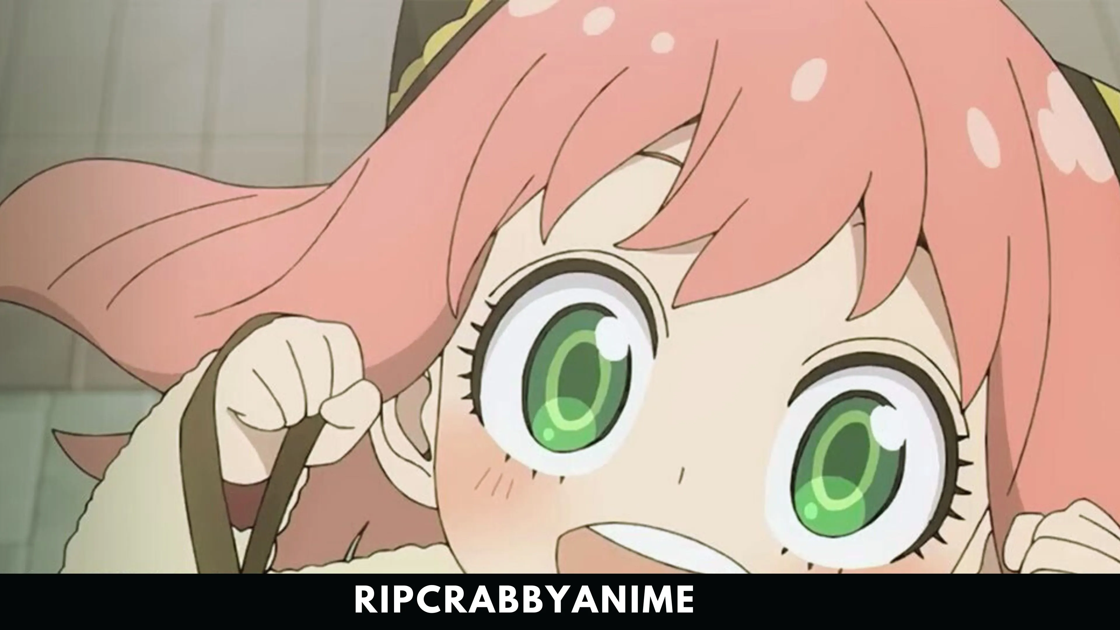 Spy x Family (Season 1-3 + Movie) 1080p Dual Audio