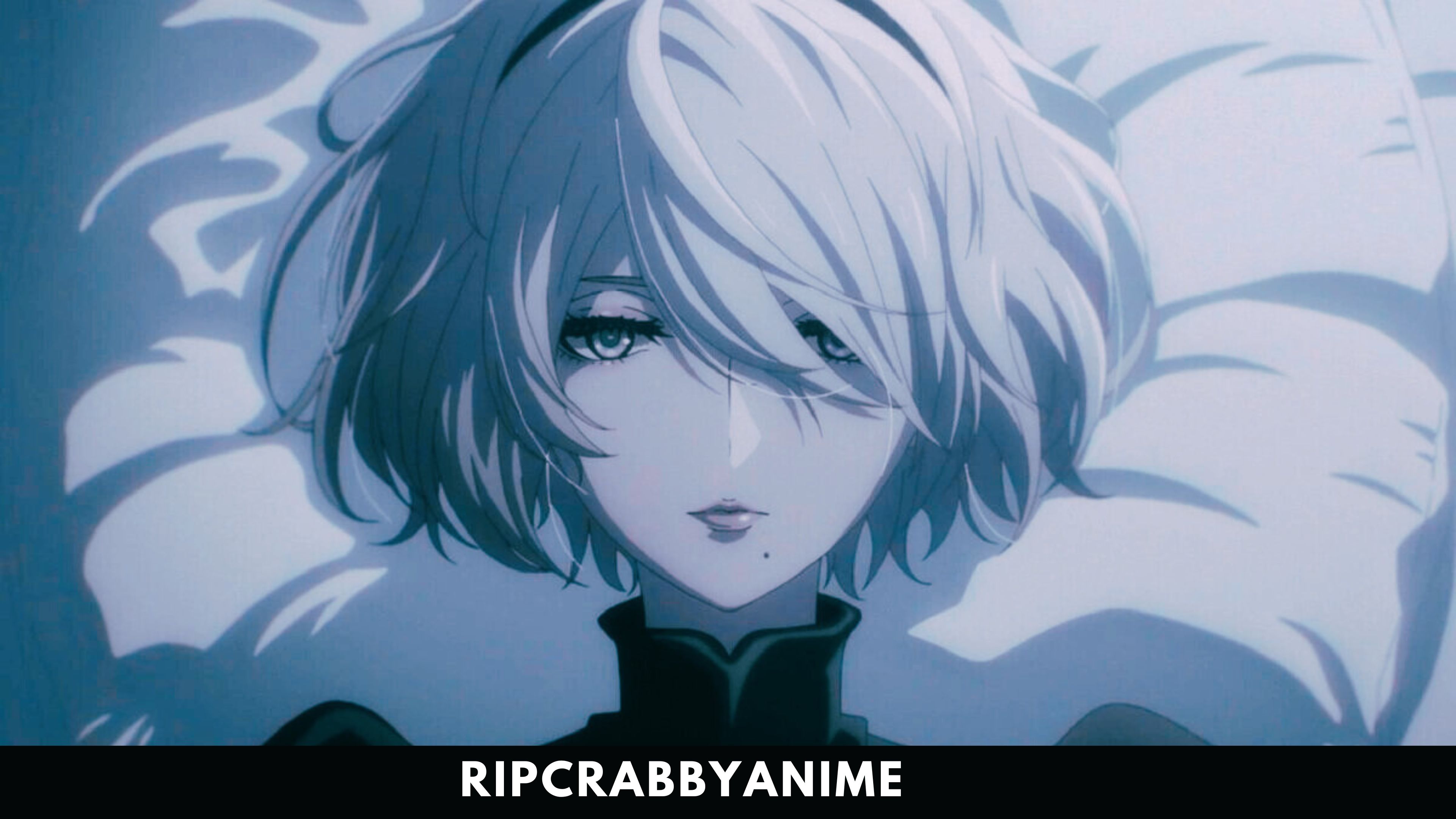 NieR:Automata Ver1.1a (Season 1) 1080p Dual Audio